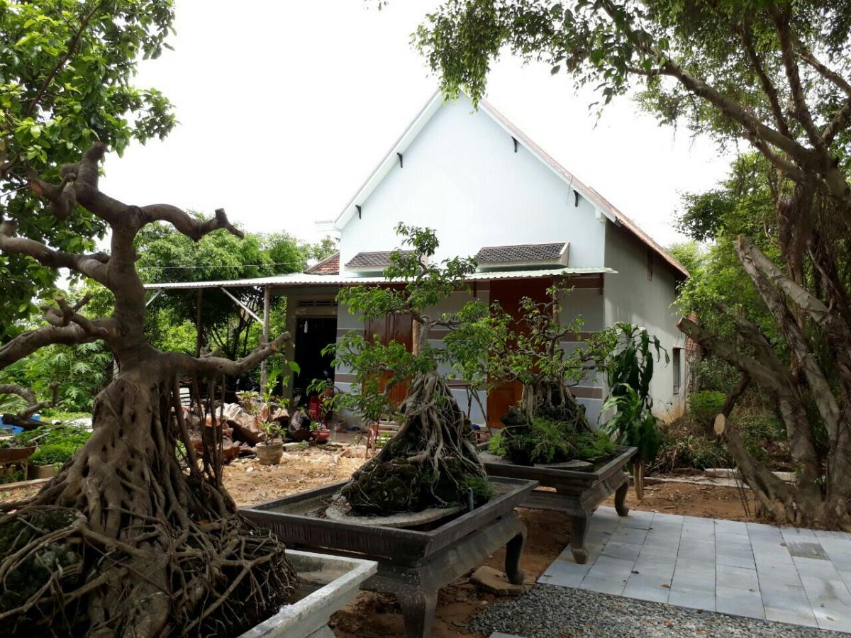 Máy đục gỗ vi tính tốt nhất Việt Nam | Đại lý Vũng Tàu